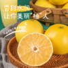 新鲜水果 福建 蜂蜜葡萄柚子3枚 （共2-2.5斤左右） 商品缩略图1