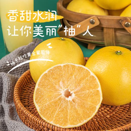 新鲜水果 福建 蜂蜜葡萄柚子3枚 （共2-2.5斤左右） 商品图1