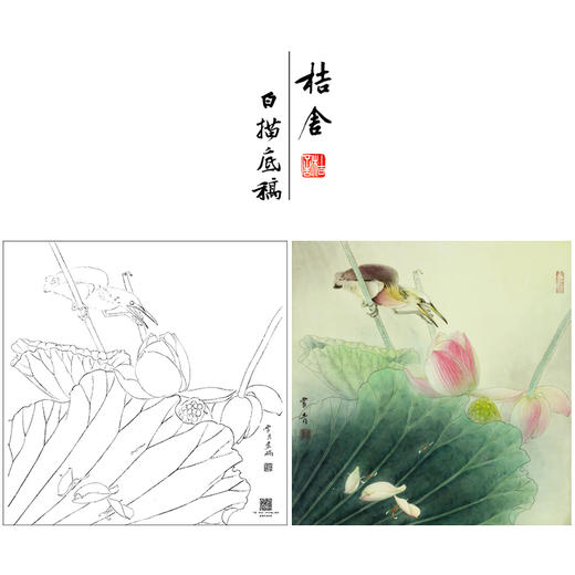 【大彩图】龚雪青工笔画白描底稿斗方小品《荷花绿鹭》临摹勾线花鸟线稿XQ22 商品图0