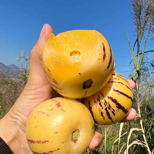 『攀枝花树上熟人参果』清甜水润，柔滑细腻，奶油香、蜜瓜香交织，水果中的“灌汤包” 商品图8