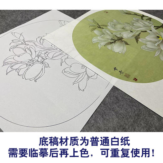 【大彩图】龚雪青工笔画白描底稿小品《玉兰花》临摹勾线花鸟线稿XQ13 商品图3