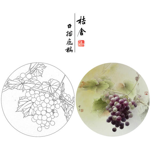 【大彩图】龚雪青工笔画白描底稿圆形小品《葡萄》临摹勾线花鸟线稿XQ07 商品图0