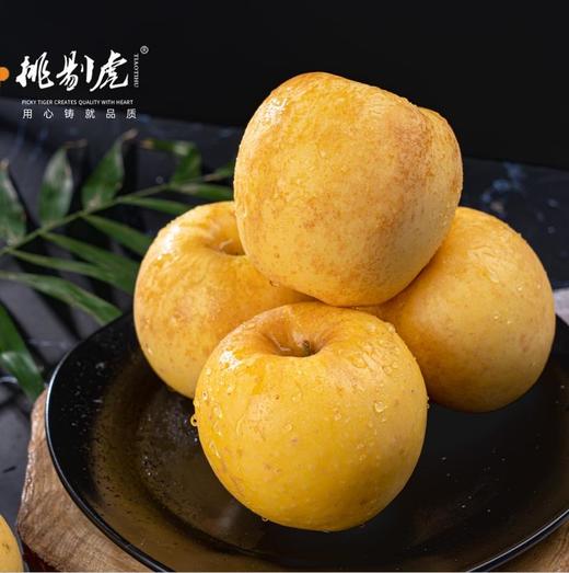 黄金维纳斯苹果 商品图0