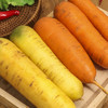 【红黄混发】新疆双色胡萝卜 4.5-5斤彩箱装 商品缩略图0