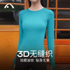 2024爱暇步秋冬新款3D无缝一体织瑜伽运动普拉提上衣A23120NWFL 商品缩略图8