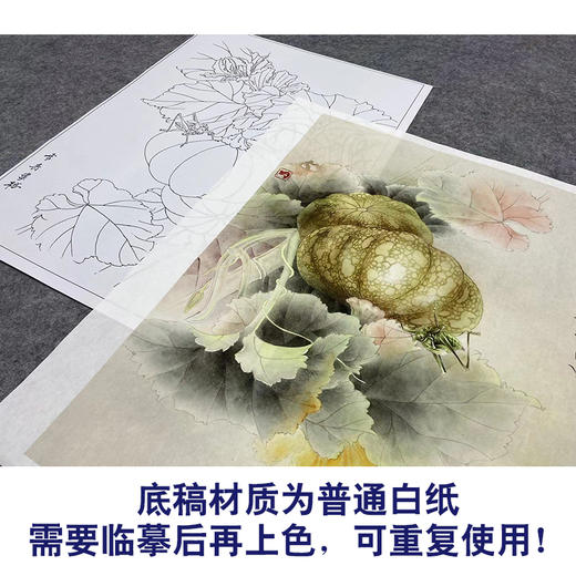 【大彩图】龚雪青工笔画白描底稿《瓜园小趣》南瓜临摹勾线花鸟线稿XQ50 商品图3