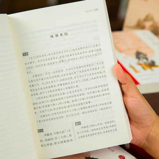 《二十四史》（附清史稿） 全10册 商品图9