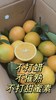 江西赣州脐橙当季水果多汁现摘现发农家橙子10斤包邮 商品缩略图4