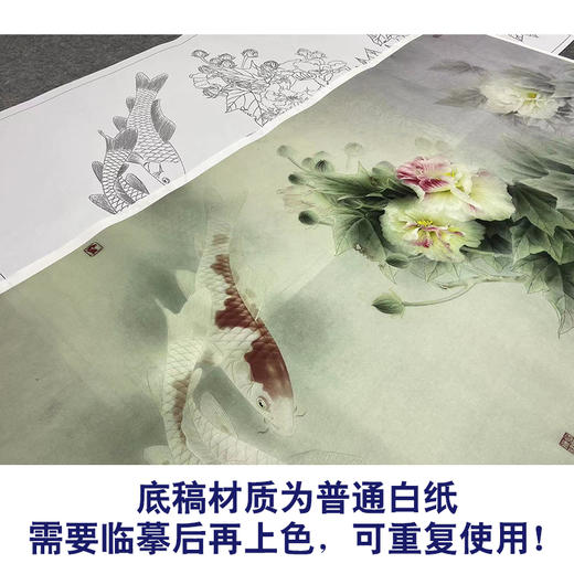 【大彩图】龚雪青工笔画白描底稿《荣华富贵》芙蓉鱼临摹勾线花鸟线稿XQ61 商品图3