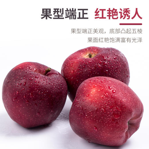 新鲜水果 花牛苹果2斤 商品图2