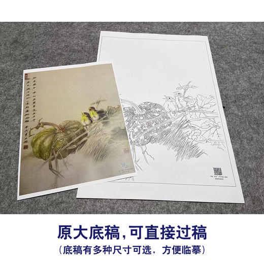 【大彩图】龚雪青工笔画白描底稿南瓜小鸟临摹勾线花鸟线稿XQ55 商品图1