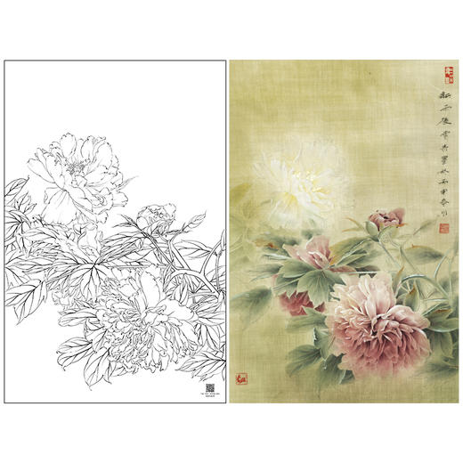 【大彩图】龚雪青工笔画白描底稿《新雨后》牡丹临摹勾线花鸟线稿XQ53 商品图0