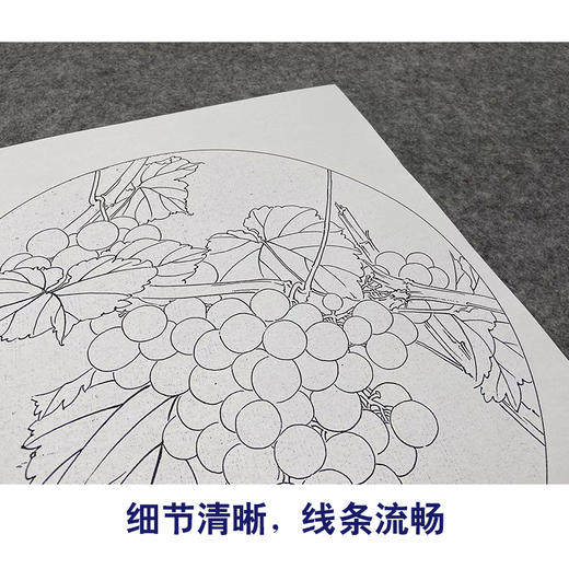 【大彩图】龚雪青工笔画白描底稿圆形小品《葡萄》临摹勾线花鸟线稿XQ07 商品图4