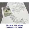 【大彩图】龚雪青工笔画白描底稿《荣华富贵》芙蓉鱼临摹勾线花鸟线稿XQ61 商品缩略图1