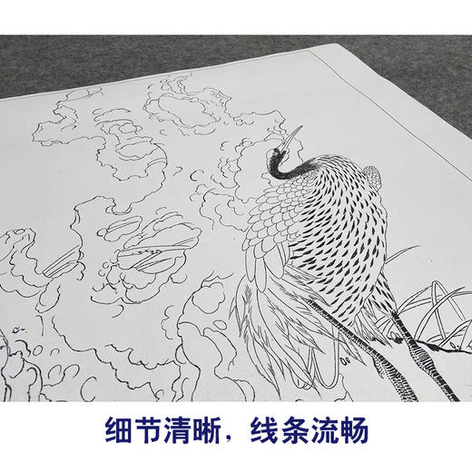 【大彩图】龚雪青工笔画白描底稿古典小品仙鹤临摹勾线花鸟线稿XQ46 商品图4