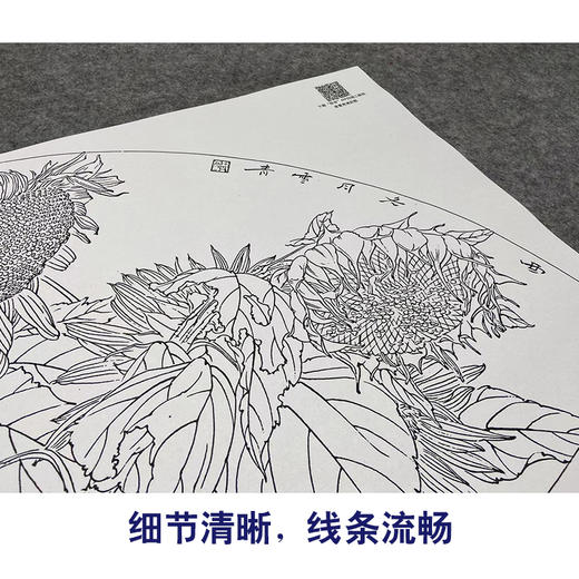 【大彩图】龚雪青工笔画白描底稿扇面小品《向日葵》临摹勾线花鸟线稿XQ19 商品图4