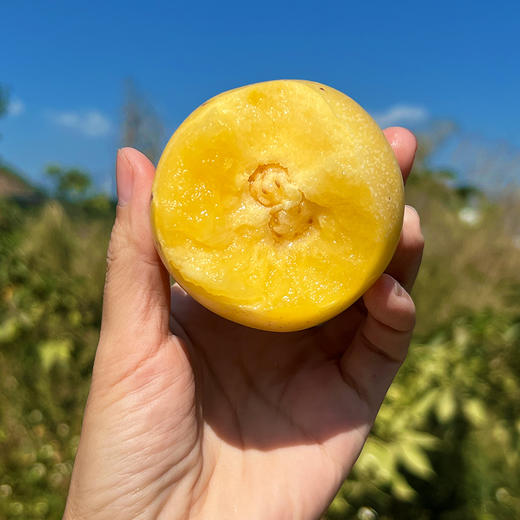 『攀枝花树上熟人参果』清甜水润，柔滑细腻，奶油香、蜜瓜香交织，水果中的“灌汤包” 商品图7