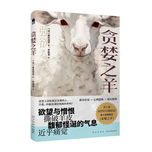 贪婪之羊 美轮和音 著 小说 商品图1