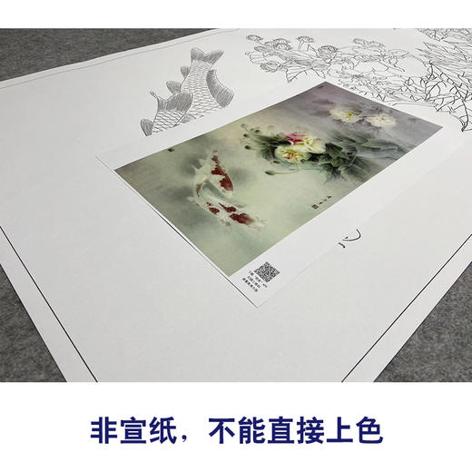 【大彩图】龚雪青工笔画白描底稿《荣华富贵》芙蓉鱼临摹勾线花鸟线稿XQ61 商品图2