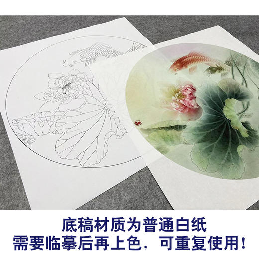 【大彩图】龚雪青工笔画白描底稿圆形小品《荷花鲤鱼》临摹勾线花鸟线稿XQ04 商品图3