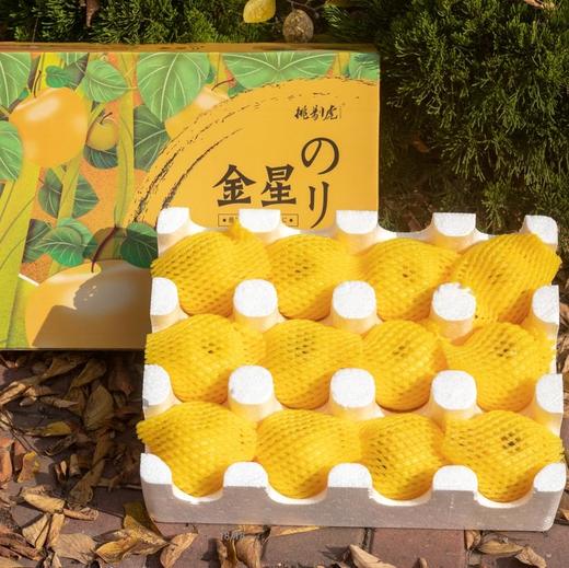 黄金维纳斯苹果 商品图4