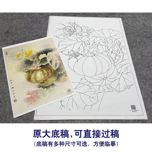 【大彩图】龚雪青工笔画白描底稿《瓜园小趣》南瓜临摹勾线花鸟线稿XQ50 商品图1