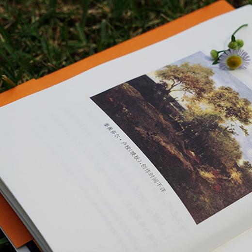 沉默史：从文艺复兴到现在（法）阿兰·科尔班 著 商品图5