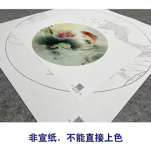 【大彩图】龚雪青工笔画白描底稿圆形小品《荷花鲤鱼》临摹勾线花鸟线稿XQ04 商品图2
