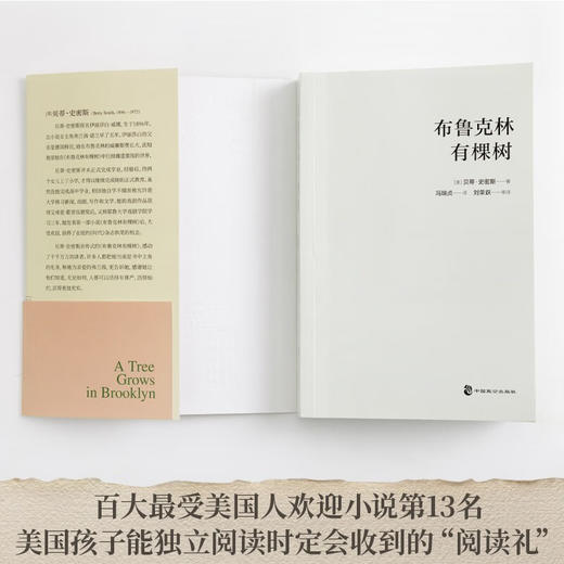布鲁克林有棵树（美）贝蒂·史密斯 著 商品图3