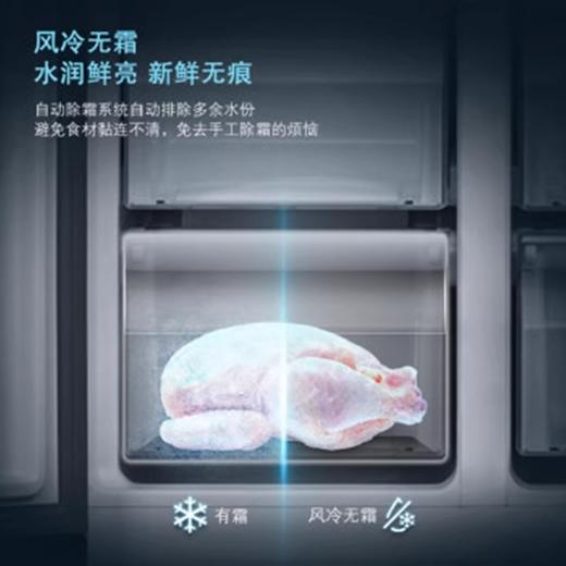 西门子/冰箱/KA50SE22TI/501L iQ100 对开门冰箱 商品图4