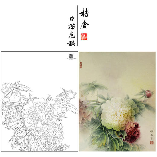 【大彩图】龚雪青工笔画白描底稿《牡丹》临摹勾线花鸟线稿XQ54 商品图0