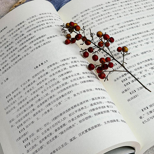 中小学古诗词评点及教学建议 大夏书系 语文之道 古诗词教学工具书 商品图7