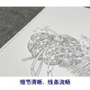 【大彩图】龚雪青工笔画白描底稿南瓜小鸟临摹勾线花鸟线稿XQ55 商品缩略图4