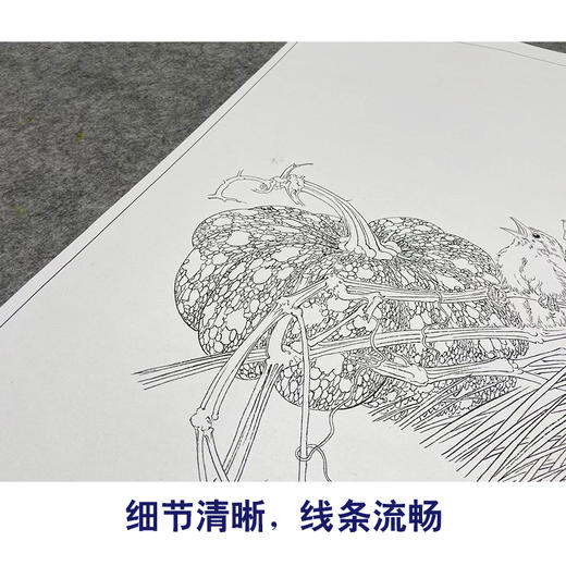 【大彩图】龚雪青工笔画白描底稿南瓜小鸟临摹勾线花鸟线稿XQ55 商品图4