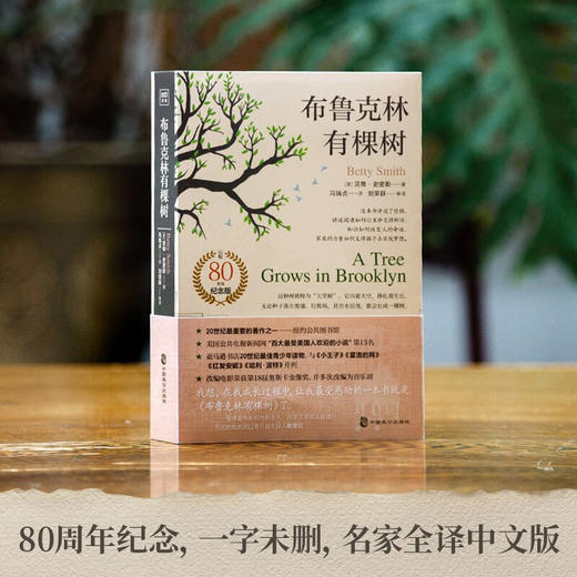 布鲁克林有棵树（美）贝蒂·史密斯 著 商品图6