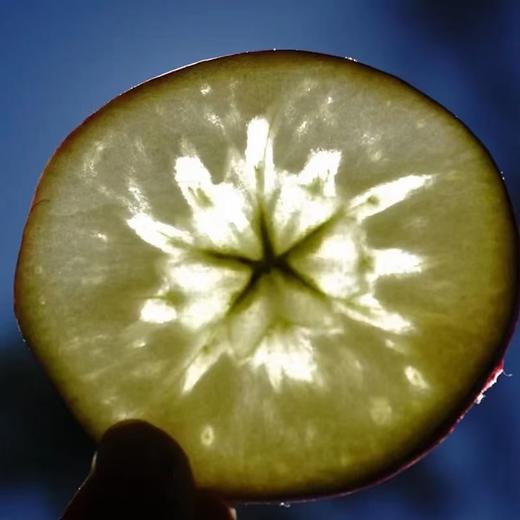 哈巴庄园富士苹果 商品图1