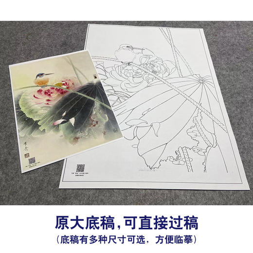 【大彩图】龚雪青工笔画白描底稿《翠鸟荷花》临摹勾线花鸟线稿XQ49 商品图1