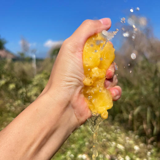 『攀枝花树上熟人参果』清甜水润，柔滑细腻，奶油香、蜜瓜香交织，水果中的“灌汤包” 商品图2