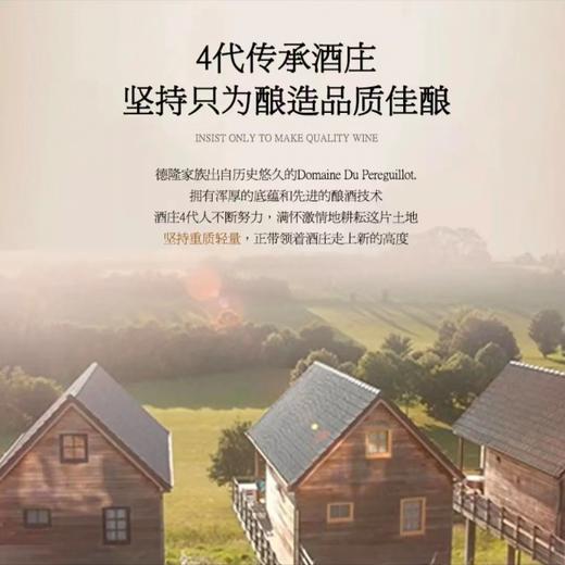 【4代传承·经典GSM混酿】法国罗纳河谷原瓶进口AOP 德隆家族干红葡萄酒 14%vol 商品图5