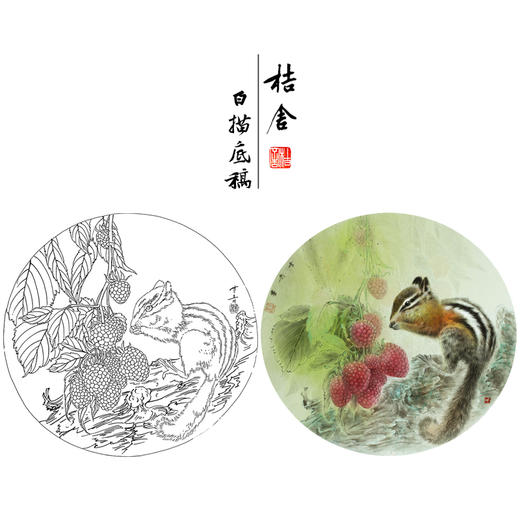 【大彩图】龚雪青工笔画白描底稿圆形小品荔枝小松鼠临摹勾线花鸟线稿XQ06 商品图0