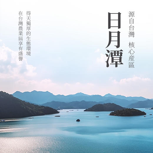 【思泉涌】日月潭红玉50g 商品图1