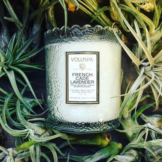 VOLUSPA 山茶蕾丝杯香薰蜡烛-176g 商品图4