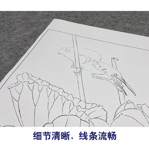 【大彩图】龚雪青工笔画白描底稿斗方小品《荷花绿鹭》临摹勾线花鸟线稿XQ22 商品图4
