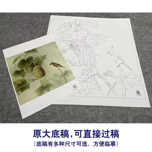 【大彩图】龚雪青工笔画白描底稿斗方小品《瓜园》西瓜临摹勾线花鸟线稿XQ47 商品图1