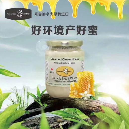 加拿大KALADA紫云英白蜜500g/瓶 商品图0