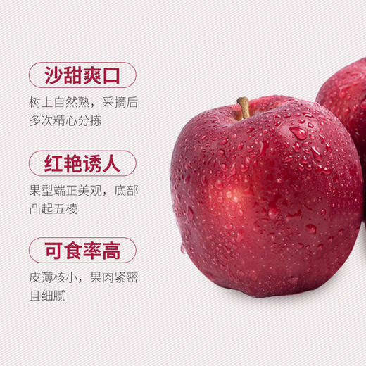 新鲜水果 花牛苹果2斤 商品图1