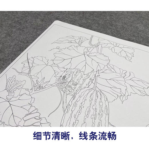 【大彩图】龚雪青工笔画白描底稿斗方小品《瓜园》西瓜临摹勾线花鸟线稿XQ47 商品图4