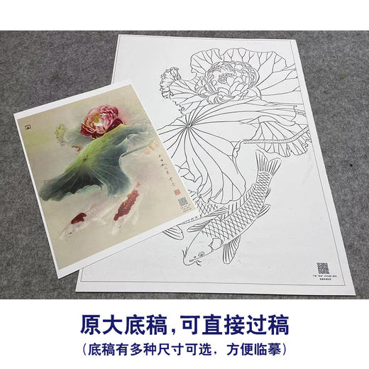 【大彩图】龚雪青工笔画白描底稿《锦上添花》荷花鲤鱼临摹勾线花鸟线稿XQ51 商品图1