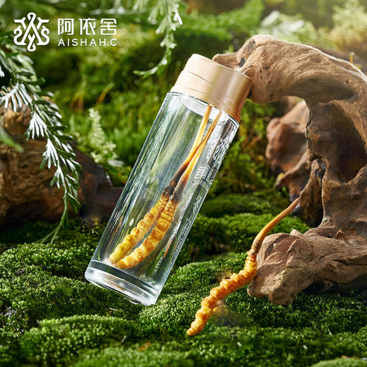 阿依舍甄选冬虫夏草鲜虫草 商品图0