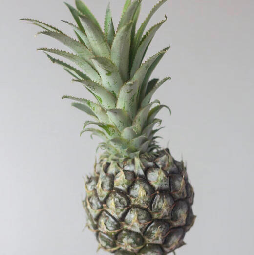 小菠萝.绿色（国产） 商品图0